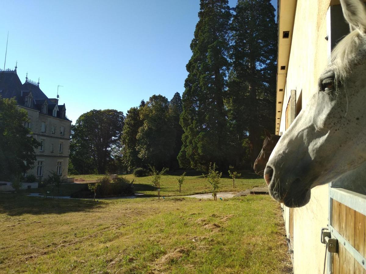 Chateau De St Alyre Hotel Sanssat Eksteriør billede