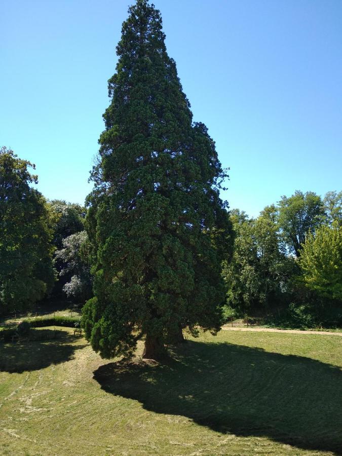 Chateau De St Alyre Hotel Sanssat Eksteriør billede